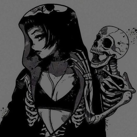 Foxican-nVts-
